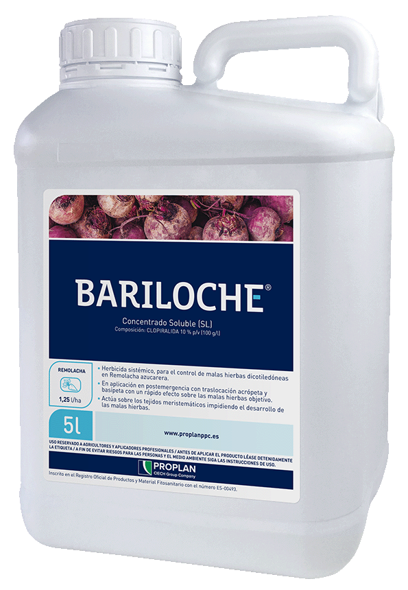 Product image  BARILOCHE 100
