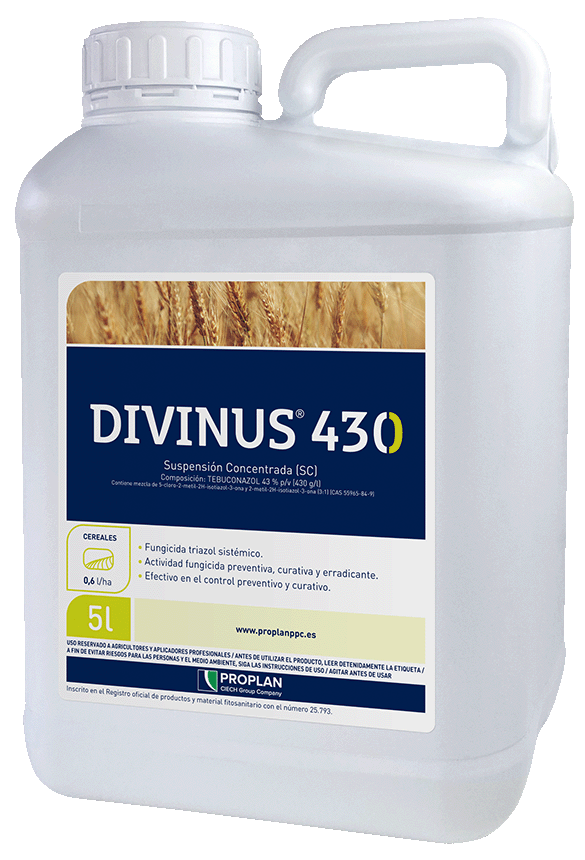 Product image  DIVINUS 430